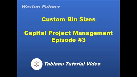 Create Custom Bin Sizes Tableau