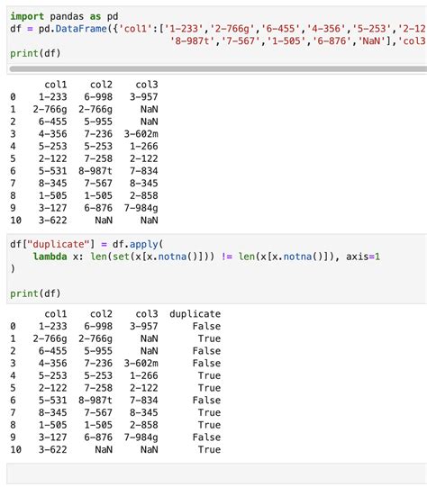 create duplicate columns in pandas dataframe