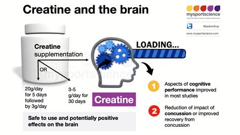 creatine and brain health research