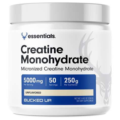 creatine monohydrate powder review