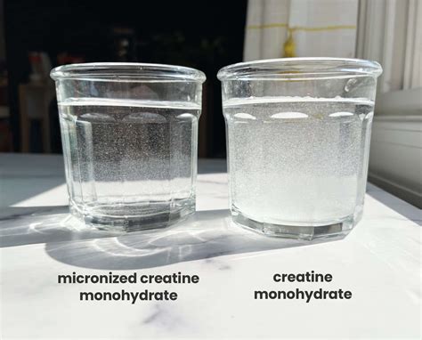 Creatine Monohydrate vs Micronized Creatine: Battle