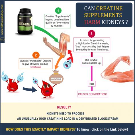 Creatine Supplements And Kidney Function