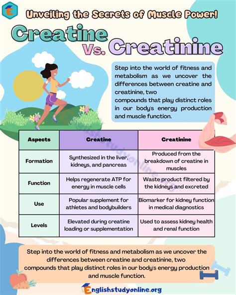 Creatine vs Creatinine: Uncovering the Key Differences for Optimal Health and Performance