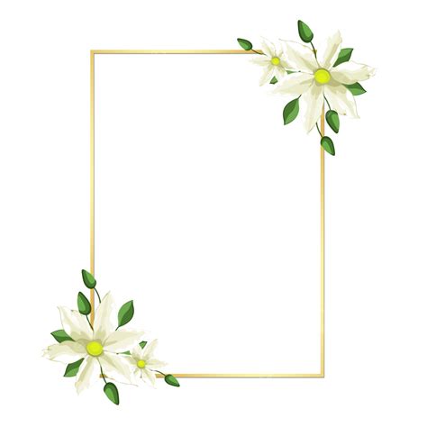 Creating A White Flower Border