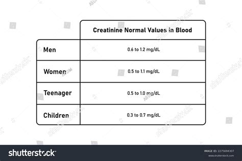 Understanding Creatinine Normal Values: What Do Your Test Results Mean?
