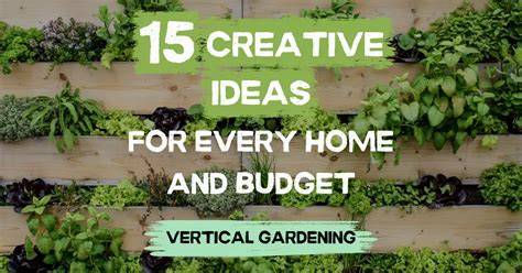 creative beautiful creative best garden ideas tutorial tutorial diy trending