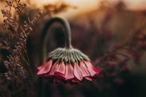 creative beautiful photography tips examples tutorial tutorial