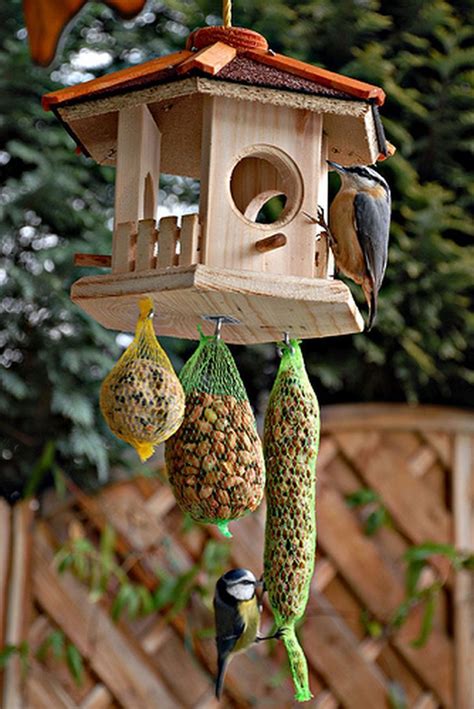 Creative Bird Feeder Ideas