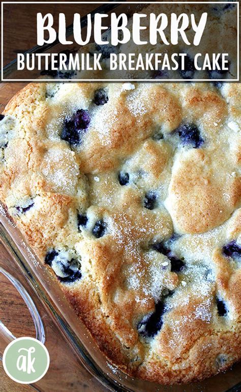 creative buttermilk blueberry breakfast cake/print/901 tutorial tutorial guide ideas