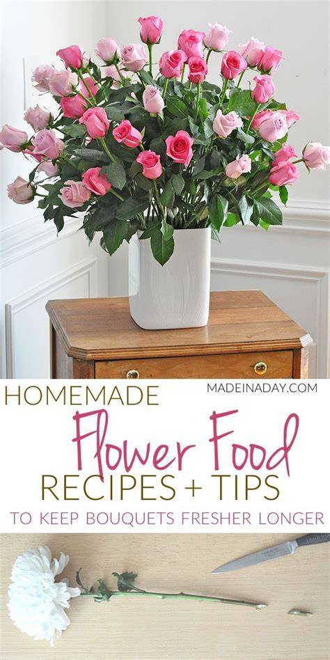 creative food recipes tips tutorial tips diy tutorial tips inspiration
