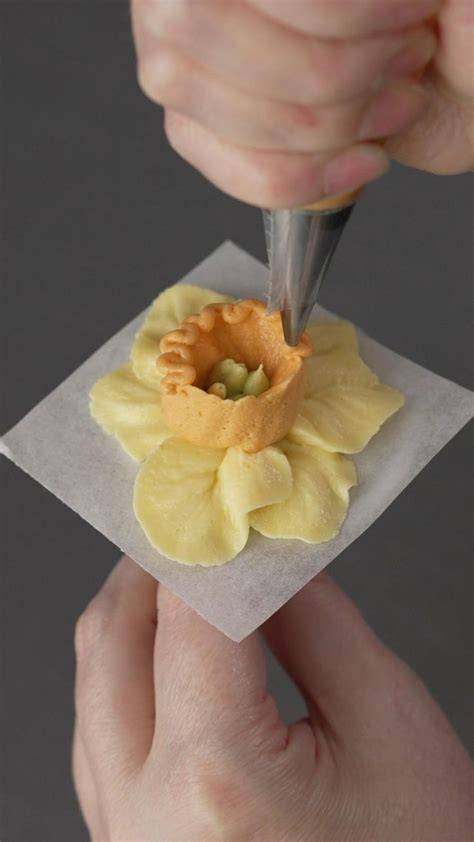 creative food recipes tutorial design tips tutorial tutorial tips guide tutorial tutorial tutorial