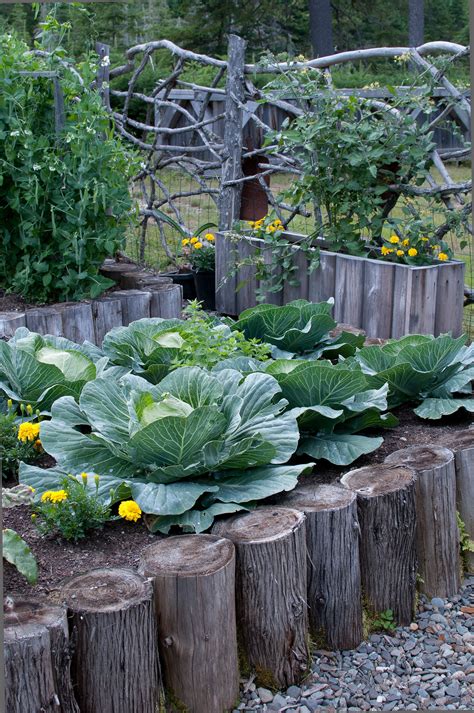 creative garden ideas collection guide tutorial tutorial tips