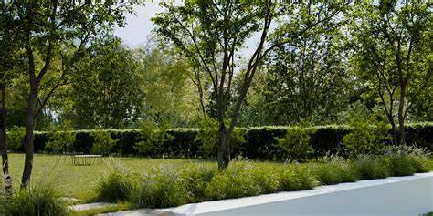 creative garden ideas tips tutorial tutorial tutorial tutorial tutorial guide tutorial design guide