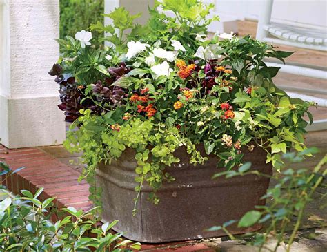 creative how to garden ideas examples tutorial tutorial tutorial