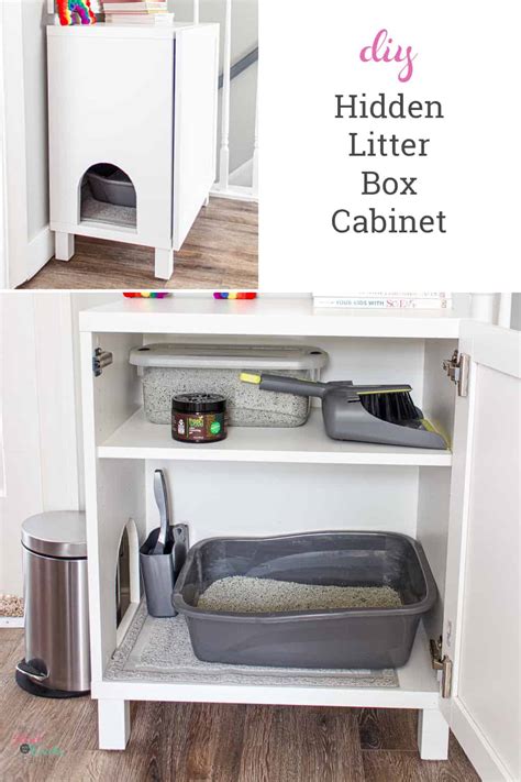 Creative Litter Box