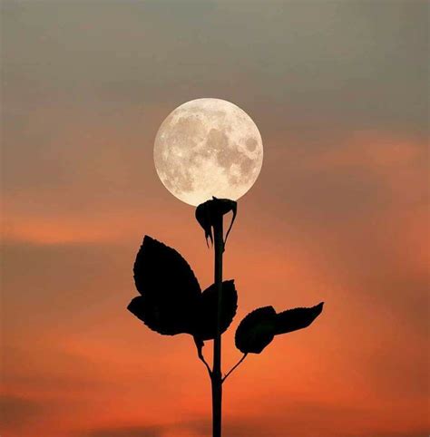 creative moon photography