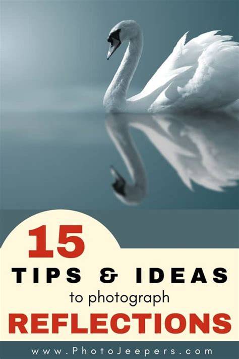 creative photography tips ideas tips tutorial tips examples