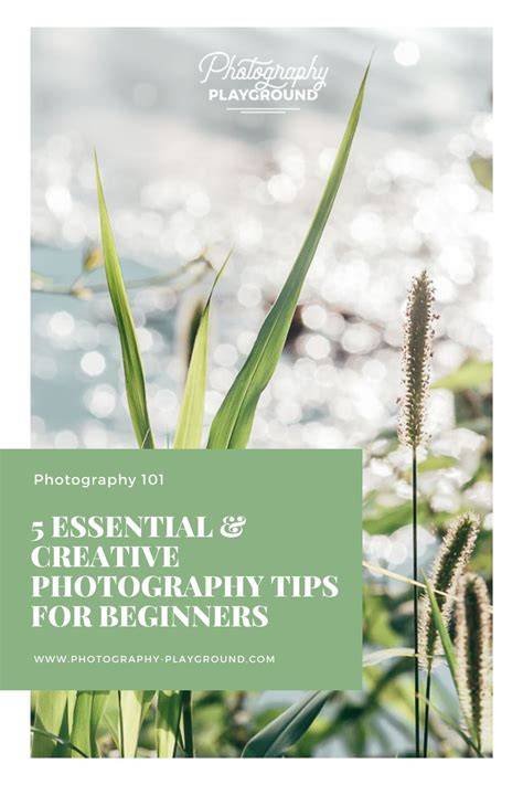 creative photography tips inspiration design inspiration tutorial tips