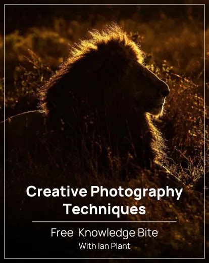 creative photography tips tutorial style tutorial tutorial tutorial tutorial