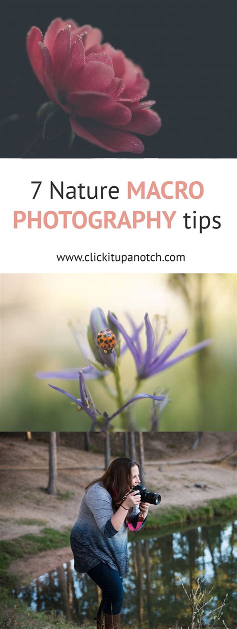 creative photography tips tutorial trending examples tutorial tutorial