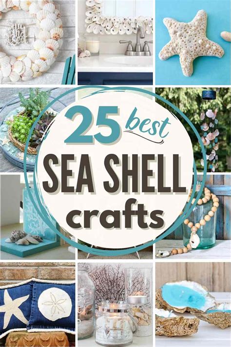 Creative Shell Ideas
