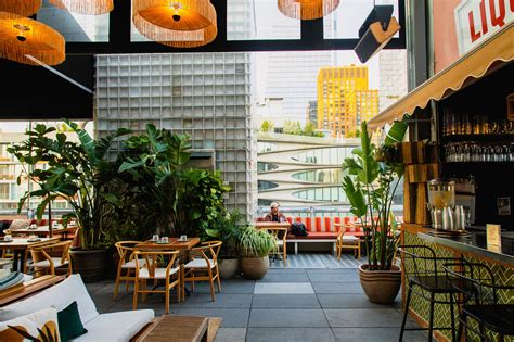 Discover the Mysterious Rooftop World of奇异Creatures