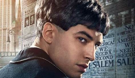 Credence Animales Fantasticos Actor Barebone Harry Potter Wiki FANDOM Powered By
