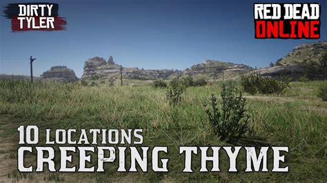 Creeping Thyme Location Rdr2
