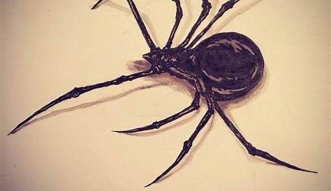 Creepy Black Widow Spider Drawing Animation ClipArt Best