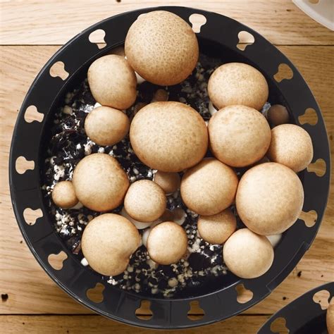 Cremini Mushroom Growing Kit