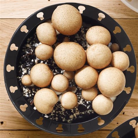 Cremini Mushroom Kit