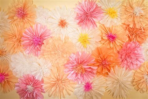 Crepe Paper Flower Backdrop