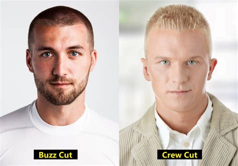 crew cut vs buzz cut