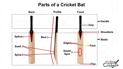 Cricket Bat Question