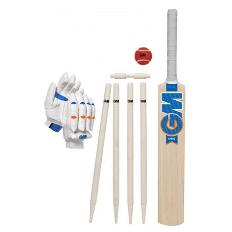 Cricket Bat Set