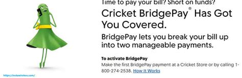 cricket bridgepay number