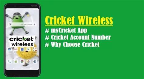 cricket byod check