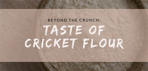 Cricket Flour Taste