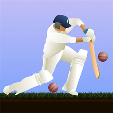 cricket game in poki