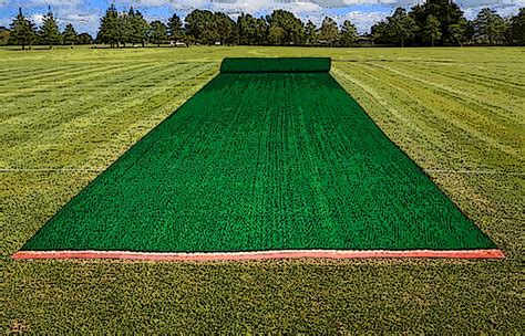 Ultimate Guide to Finding the Best Cricket Mat for Kids