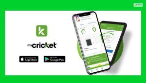 cricket quick pay