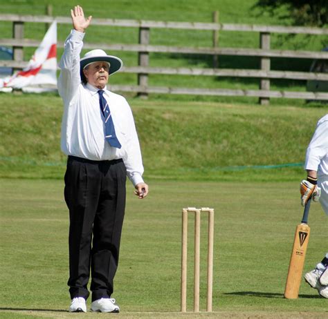 Cricket Referee Image