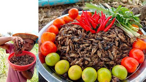 Cricket Soup Subscription Printables