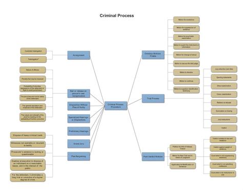 criminal case process flow chart