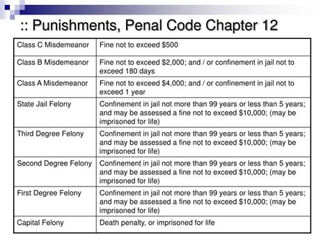 criminal code examples