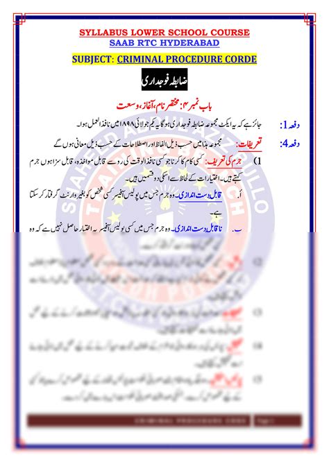 criminal code meaning in urdu