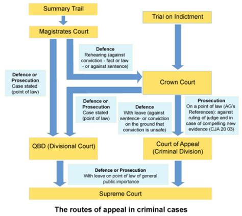 criminal court of appeals docket