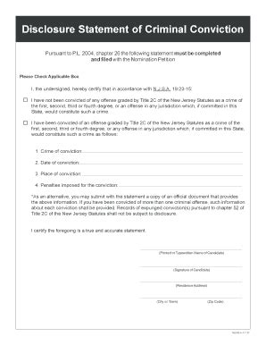 criminal disclosure statement example