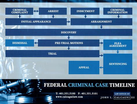criminal federal court case lookup