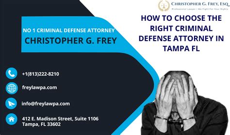 criminal lawyer tampa florida services